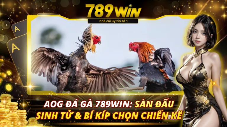 AOG Đá Gà 789Win